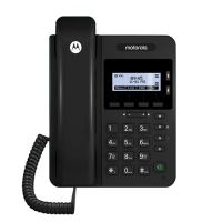 摩托罗拉(MOTOROLA) 100IP-2P 电话机座机 IP话机百兆VOIP 支持POE供电 前台客服呼叫中心