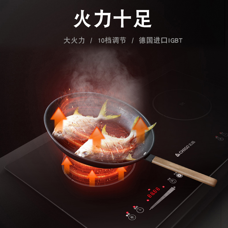 触屏嵌入式双头电磁炉