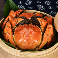 [活蟹]今锦上 鲜活大闸蟹 公蟹3.3-3.6两 母蟹2.3-2.6两 4对8只 888型 生鲜螃蟹礼盒