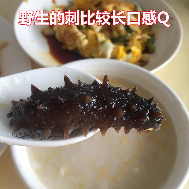 沈志雄东山岛澳角村海参新鲜海参刺参六排刺的海参小米粥年货年夜饭送礼10个一盒高清大图