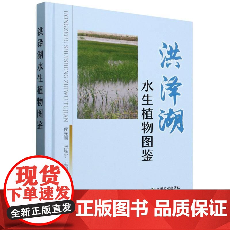 精装 洪泽湖水生植物图鉴 侯元同 张胜宇 主编 洪泽湖植物标本采集识别分类生态特征 洪泽湖水生植物百科全书识别图鉴工具书