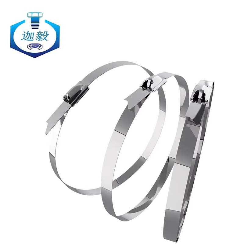 迦毅304不锈钢扎带4.6x150mm根高清大图