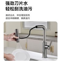 浪鲸(SSWW)厨房冷热水龙头飞雨瀑布出水304不锈钢洗菜盆龙头抽拉式水槽龙头