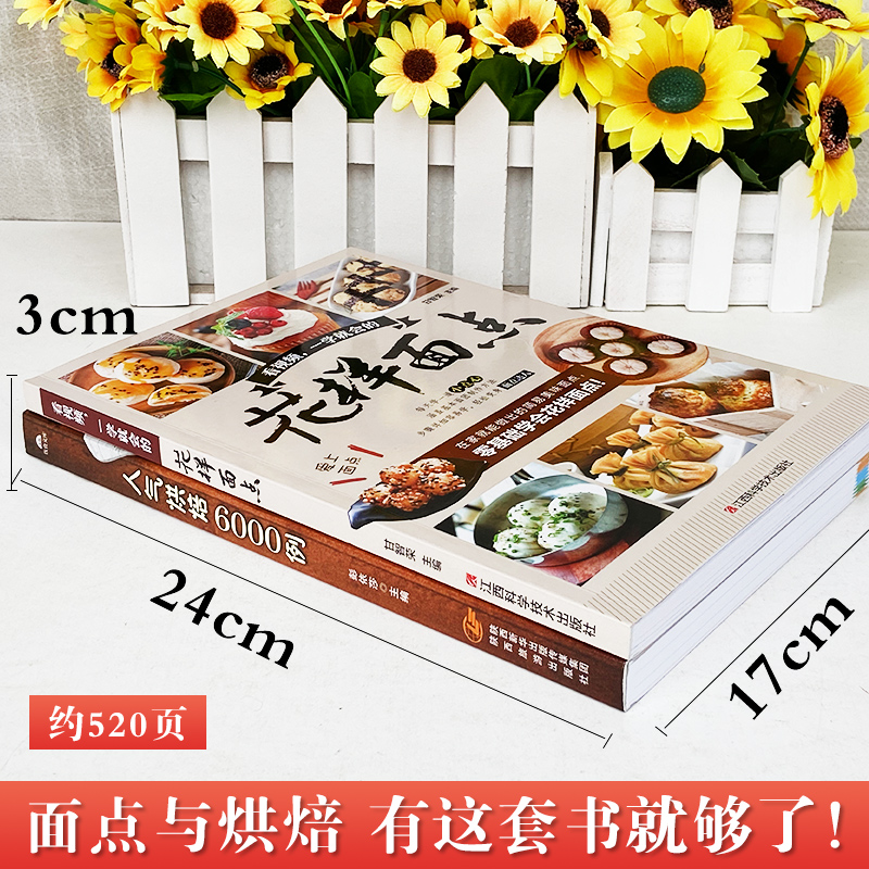 [正版]2册花样面点书籍大全+人气烘焙6000例法式甜点烘焙书家用新手入门教程书烤箱家用烘焙食谱书面包书烘焙大全配方学高清大图