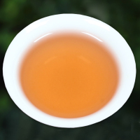裕园茶 武夷岩茶大红袍茶叶 乌龙茶罐装125g*2盒