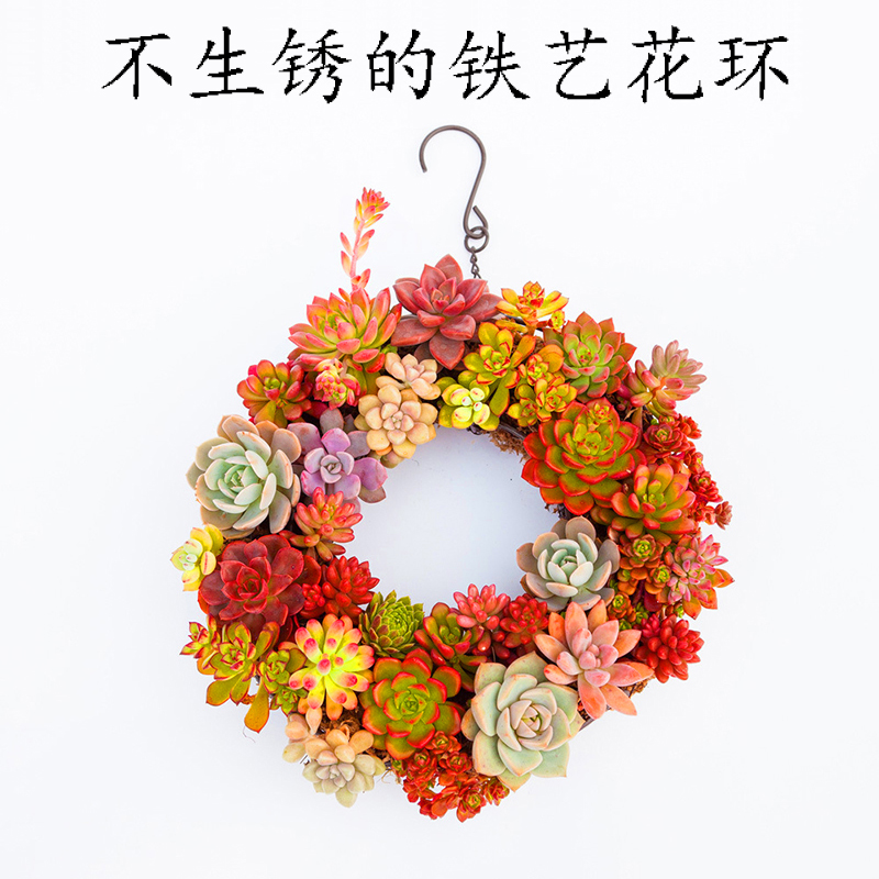 多肉花盆铁艺镂空爱心花环无土栽培多肉植物创意花卉盆栽01 中等图片 高清实拍大图 苏宁易购