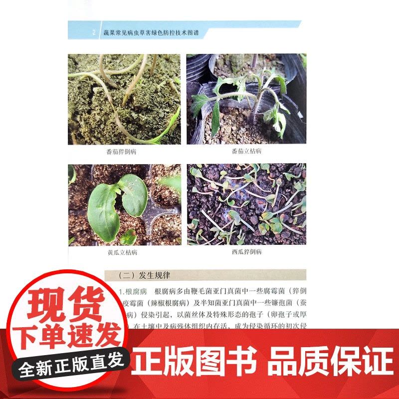蔬菜常见病虫草害绿色防控技术图谱图片