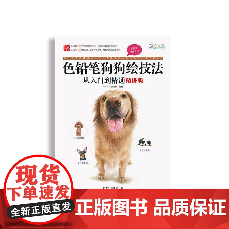 色铅笔狗狗绘技法从入门到精通(精讲版)高清大图
