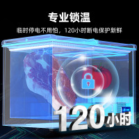 星星(XINGX) BCD-230HE 230升 卧式冷柜 冰柜 家商两用 蝴蝶门 内置玻璃门板保温 双温双箱大容积