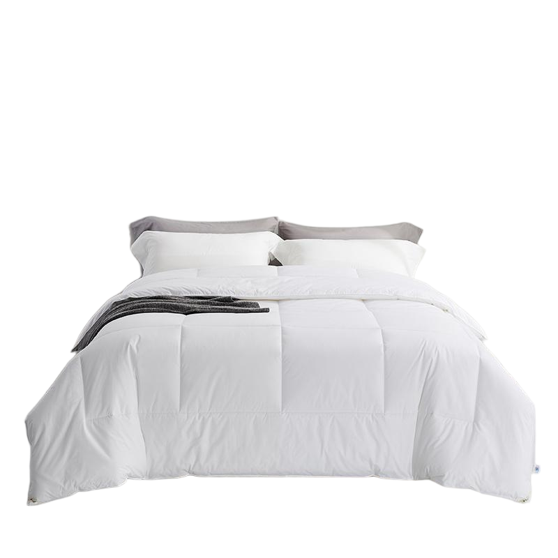 浩博时代 羽丝绒被芯 HNSD653 条