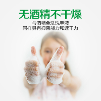 滴露泡沫免洗抑菌洗手液花香型50ml金银花香型 无酒精