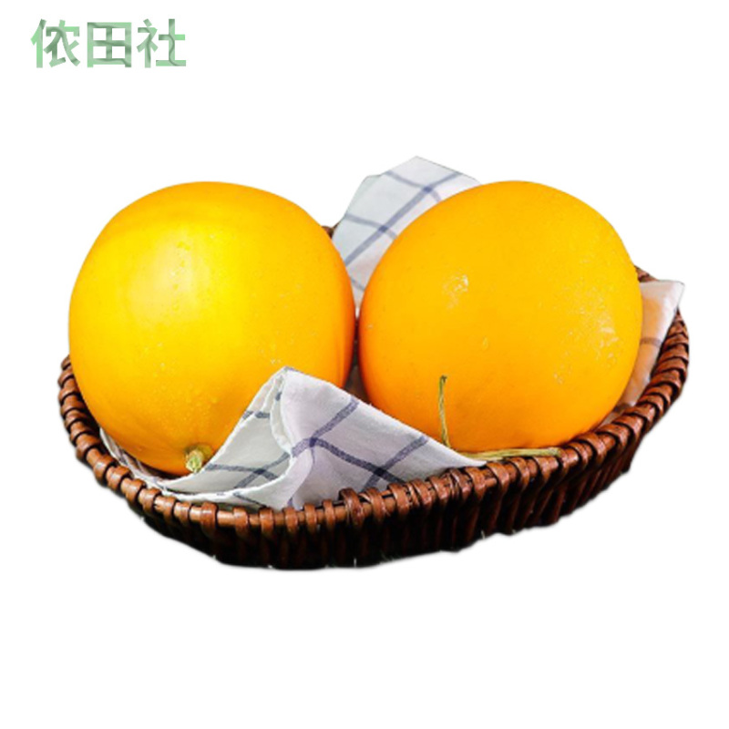 陕西黄金蜜瓜10斤新鲜水果黄河蜜瓜阎良甜瓜香瓜哈密瓜