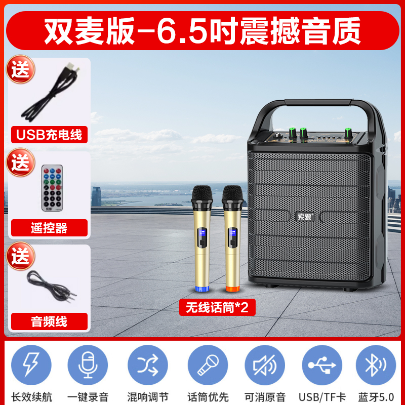 索爱(soaiy)SA-F33手提音响高低音户外k歌大音量广场舞电木吉他乐器音箱直播小型家用音箱 双麦