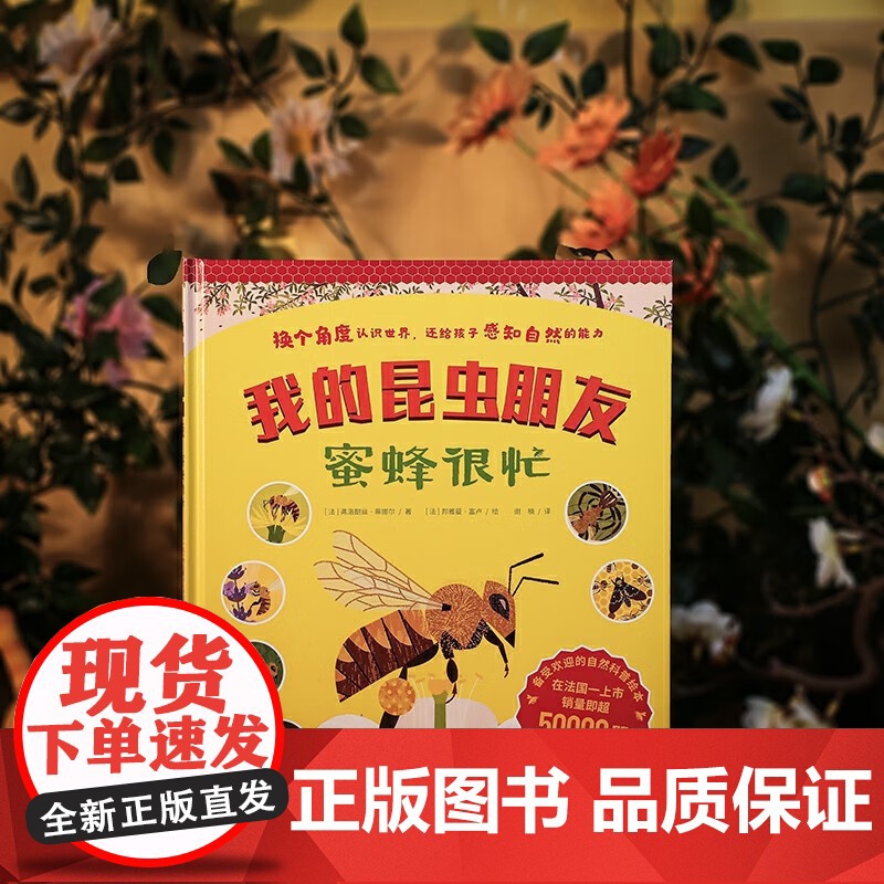我的昆虫朋友 蜜蜂很忙 弗洛朗丝·蒂娜尔 著 科普百科高清大图