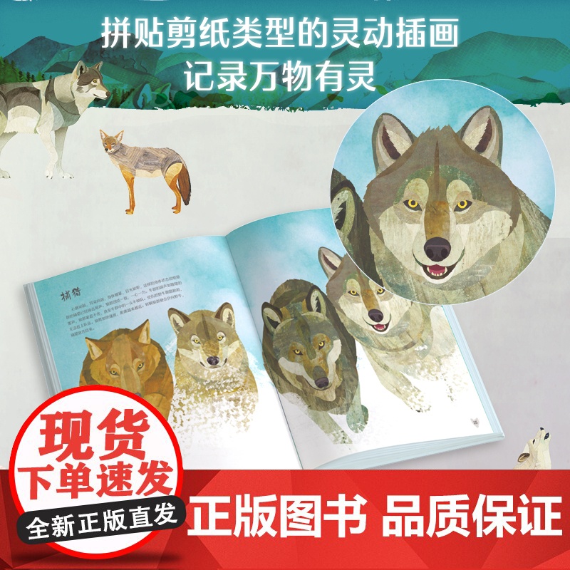 万物有灵 狼的法则高清大图