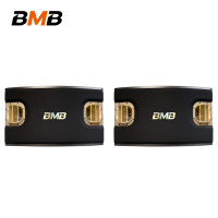 BMB CSV900音箱 卡拉OK音箱 专业KTV包房音箱 家用 客厅K歌音响 12英寸卡包专业音箱