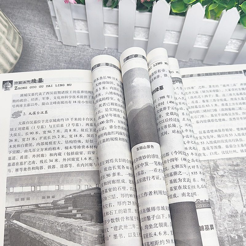 [正版]中国古代陵墓 中国传统民俗文化建筑系列 古代丧葬方式 秦始皇陵 三国帝陵 唐宋元明清时期的陵墓等不同的陵墓反映高清大图