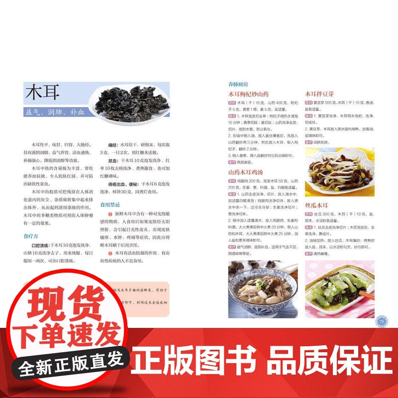 生活-《黄帝内经》养好肺 正气足 寿命长(有声版)杨秀岩养肺润肺黄帝内经经络养肺中医23种养肺食物20大护肺穴位中医高清大图