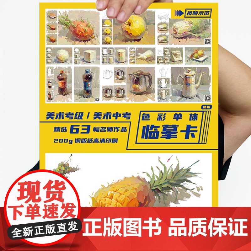 色彩单体临摹卡 色彩单体静物文创文艺术水粉手绘美术艺考高考高清精美零基础入门教材教程创意原画起步入门基础教程创意卡片