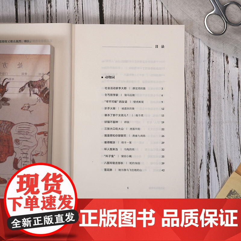 医院是座动物园(万有引力书系)高清大图
