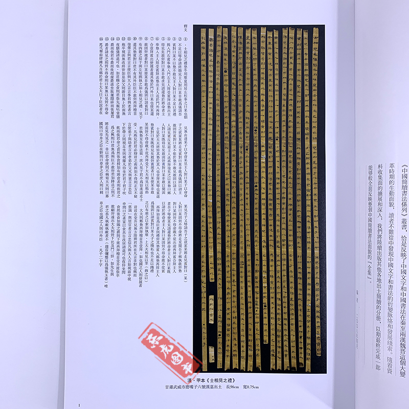 [正版]甘肃武威汉简 中国简牍书法系列 附释文8开全彩版印刷 王杖十简 汉甲本士相见之礼 汉医药木牍 隶书竹简木简文书高清大图