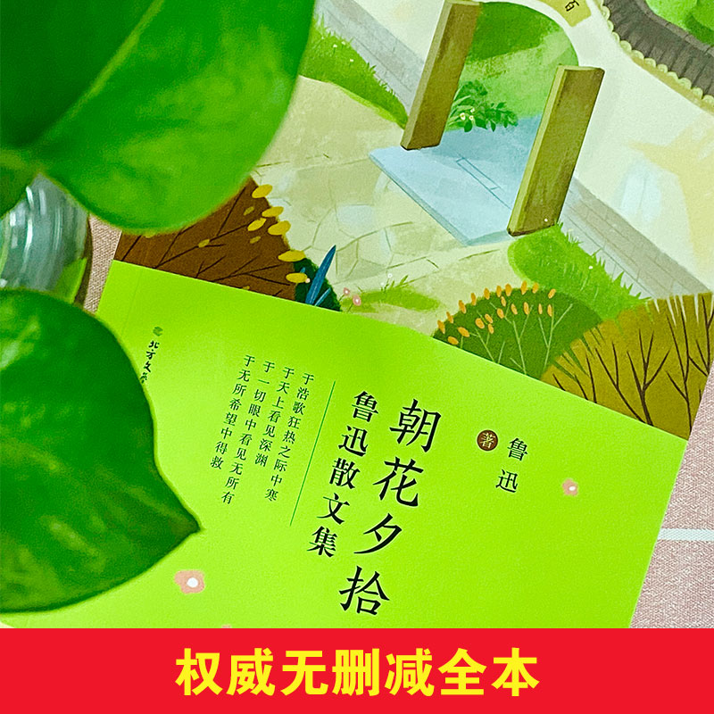 醉染图书鲁迅散文集 朝花夕拾 呐喊9787531741374高清大图