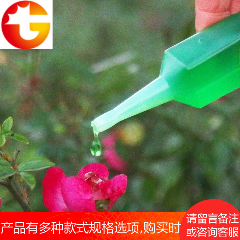 绿萝花综合养花富贵竹水养室内水培植物营养液绿萝专用实用绿箩。