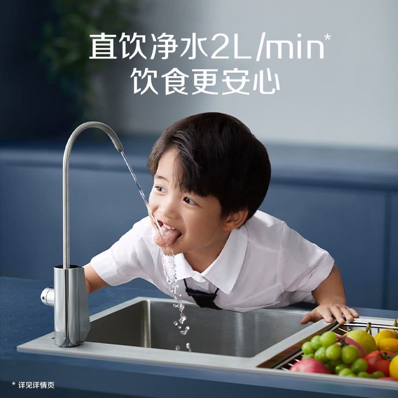 史密斯(A.O.SMITH)牌R2000DW1型双水质反渗透净水机图片