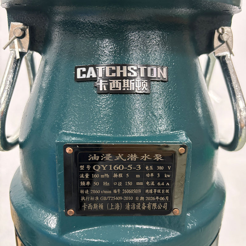 卡西斯顿 油浸式潜水泵 QY160-5-3 台高清大图