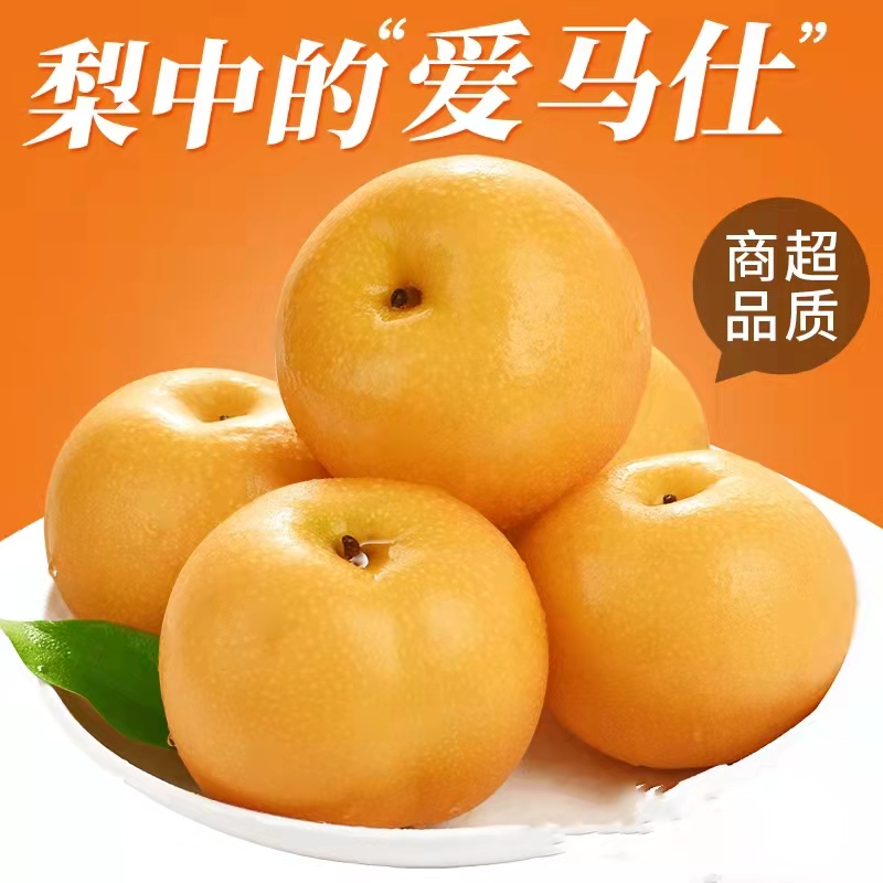 [Super会员推荐]佳农山东精品秋月梨礼盒装3.5kg整箱 清甜大梨时令新鲜水果1