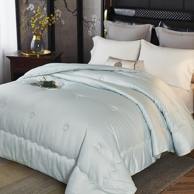 唐纳家纺 臻品60德绒冬被-雅绿 200×230cm/3000g- TN-SAQ21041高清大图