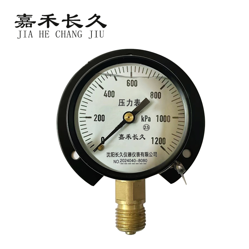 嘉禾长久 风表耐震压力表 YTN60T 块 0-1200KPA