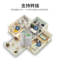 飞利浦（PHILIPS）电话机座机 固定电话 办公家用 10组黑名单/来电指示灯提示 CORD026 白色