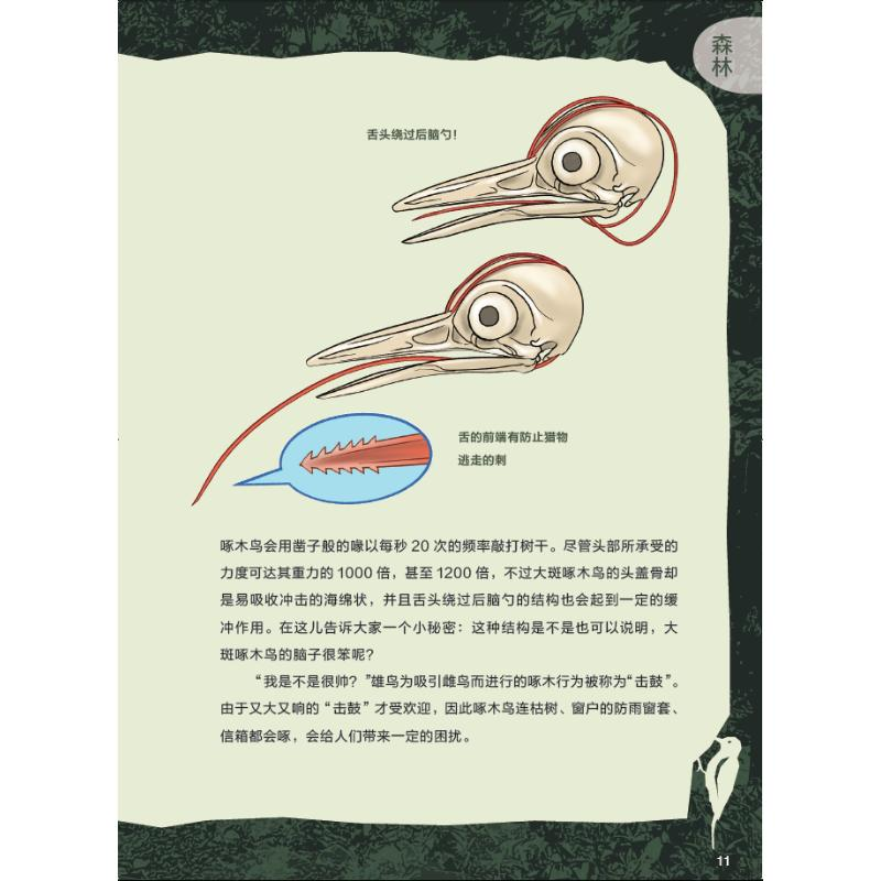 醉染图书惊叹百科 生物让人意外的超能力9787550730366高清大图