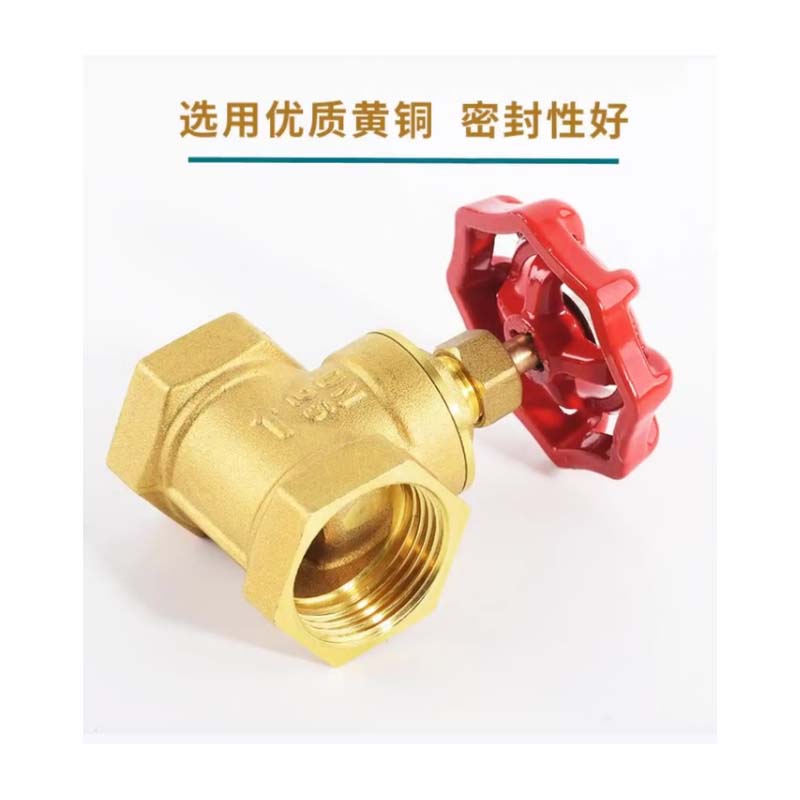 闸阀 DN110高清大图