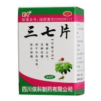 蜀中 三七片 40片