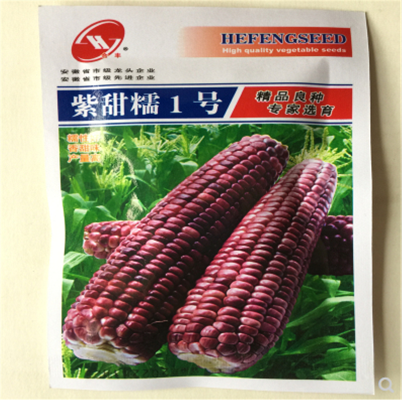 紫甜糯一号玉米种子紫苞米种籽紫甜糯玉米鲜食粘棒四季大田紫甜糯一号