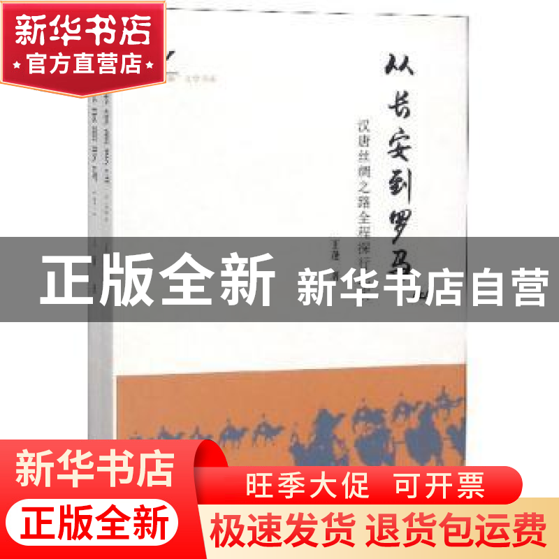 正版 从长安到罗马:汉唐丝绸之路全程探行纪实 王蓬著 太白文艺出高清大图
