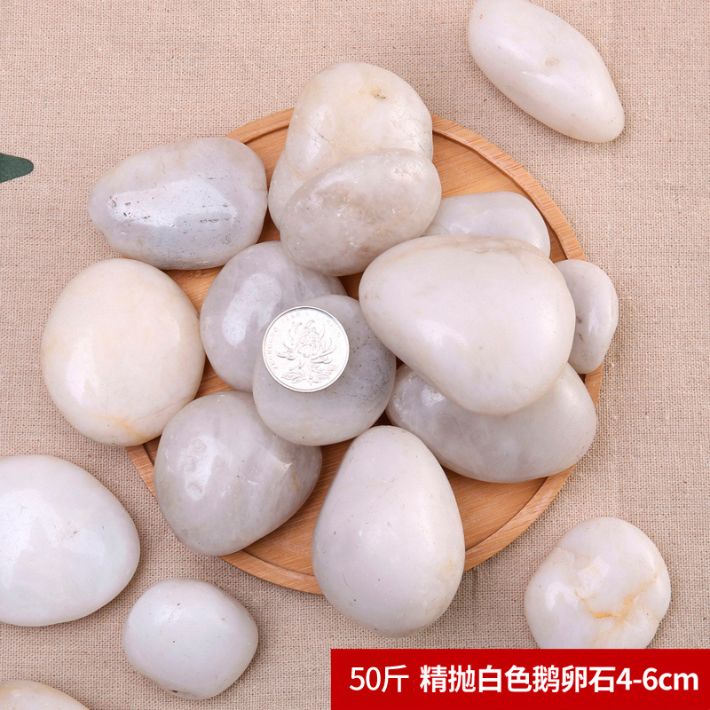汇特益 鹅卵石 铺路铺地庭院园林造景 精抛白色4-6cm 50斤/组(单位:组)