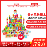 天启TQ积木 幼儿园3-6岁儿童玩具 男孩女孩生日礼物 110粒大颗粒 积木益智木制玩具