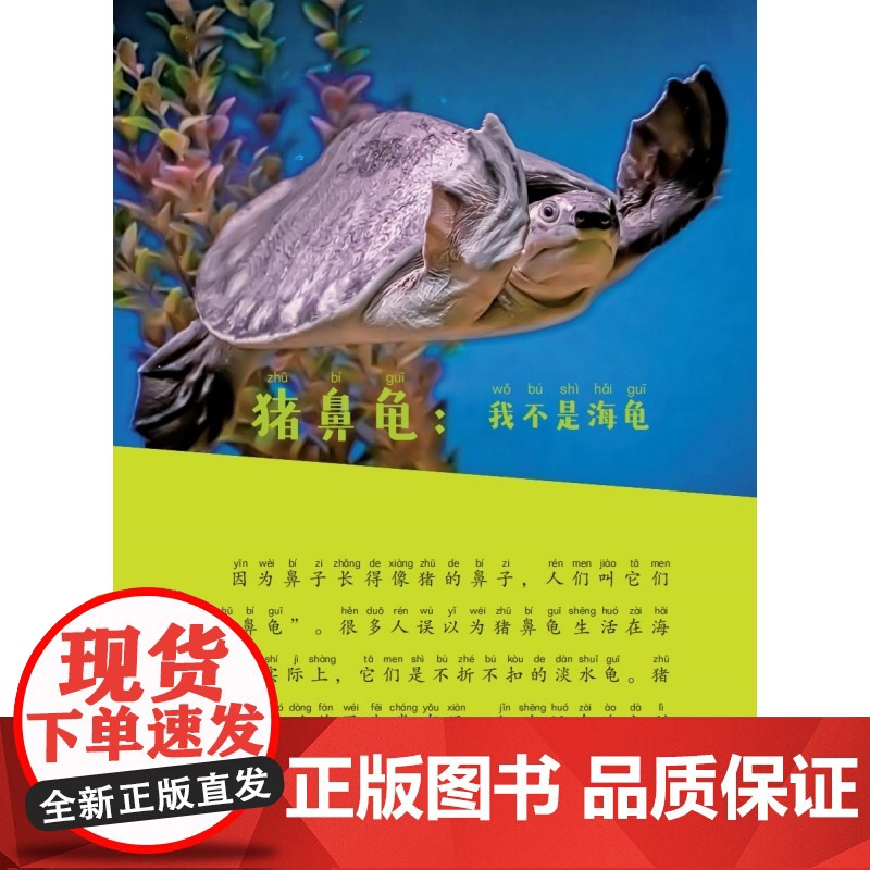 猜你不知道·爬行动物的100个冷知识(美国国家地理授权,讲述100种爬行动物的形态、生活特征、习性等趣味科普,拼音读物)高清大图