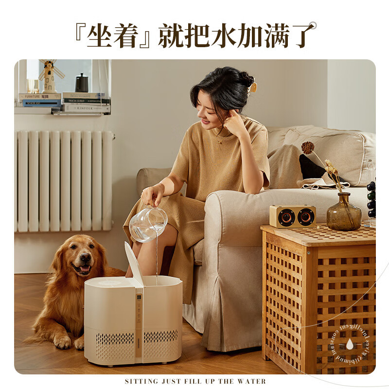 大宇(DAEWOO)Z 纯净型加湿器 PH01(奶糖白) 4L高清大图