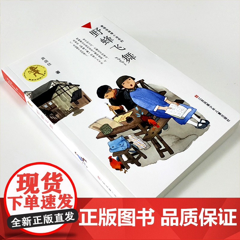 野蜂飞舞/黄蓓佳倾情小说,继《童眸》之后,黄蓓佳又一全新力作,严酷背景下的亲情与成长,三四五六年级小学生课外书读物高清大图