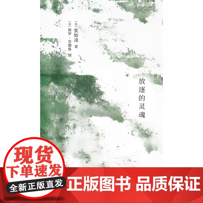 放逐的灵魂 张如凌诗歌选集上海人民出版社 另著中国红/法国蓝/红蓝如凌 中国现当代诗歌高清大图