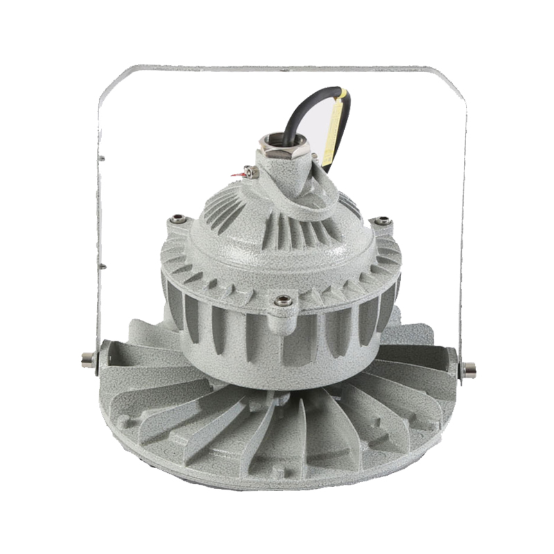 ruis防爆灯 LED200w