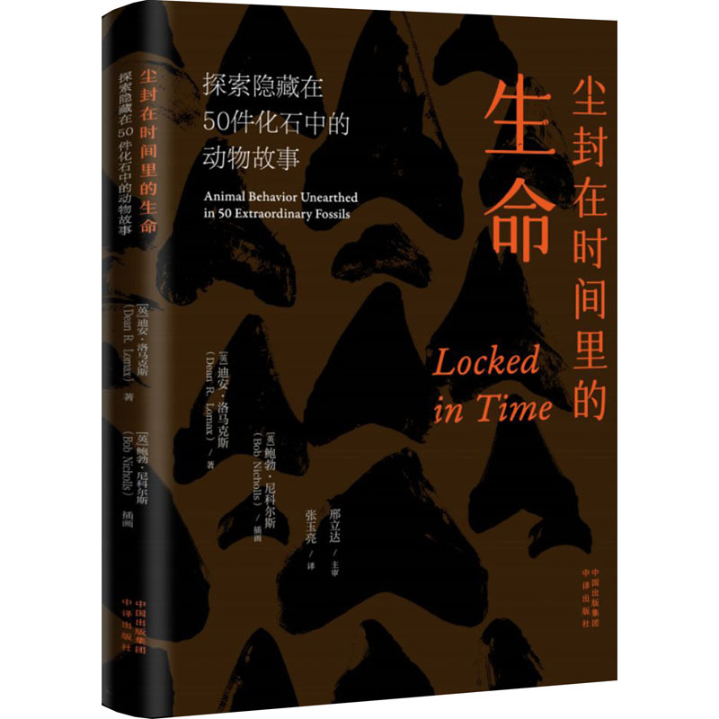 尘封在时间里的生命:探索隐藏在50件化石中的动物故事