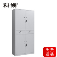 科朔 文件柜铁皮柜资料柜办公室柜子档案柜 铁中二斗文件柜 KS-G036