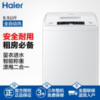 海尔(Haier)6.5公斤 家用全自动小神童波轮洗衣机 小洗衣机 宽水压宽电压设计 EB65M019