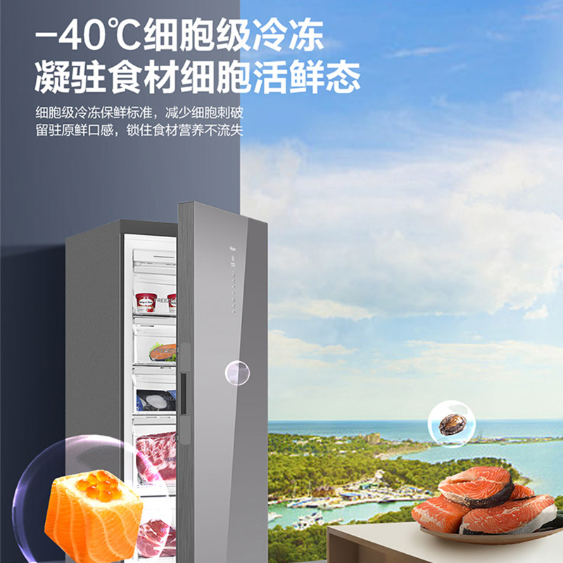 海尔立式冰柜家用风冷无霜全温区冷藏速冻转换冷冻柜冰箱数显-40深冷变BD-228WGHS1U1