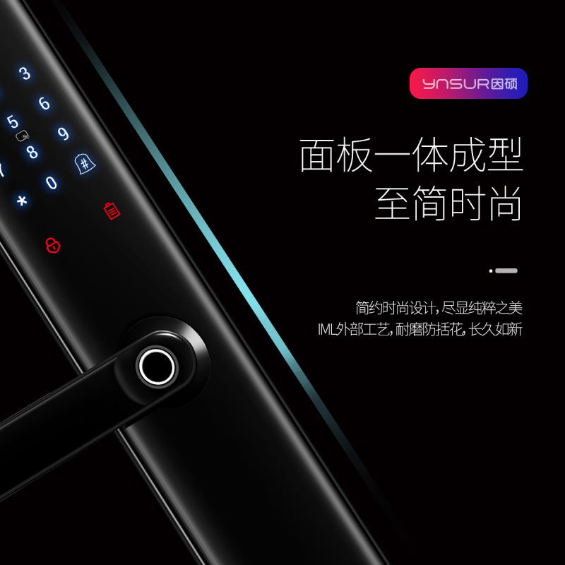 因硕指纹锁智能门锁密码锁家用防盗门电子锁刷卡远程开门B01/P10 P10黑色